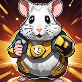 hamsterkombatdailycombocards.com